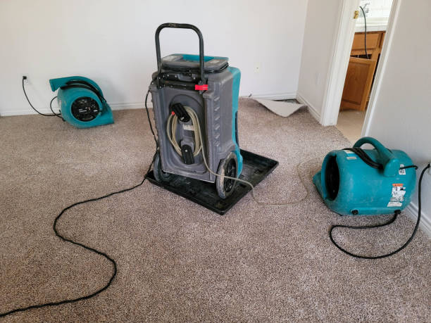 Best Fire Damage Restoration  in Bethel, OH