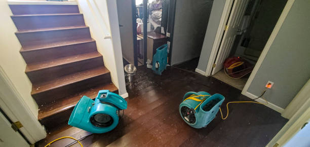 Best Local water damage restoration  in Bethel, OH