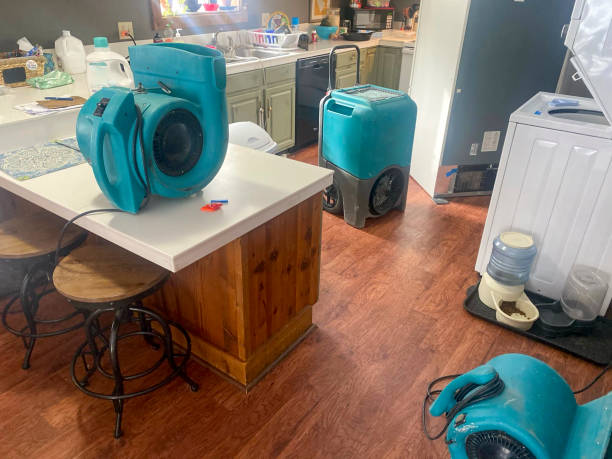 Best Professional water damage repair  in Bethel, OH