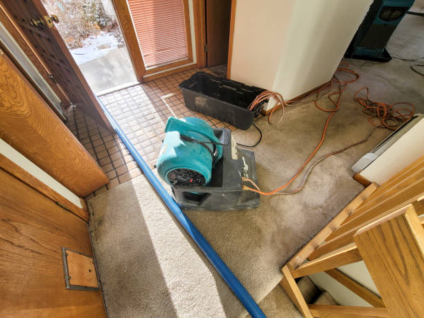  Bethel, OH Water damage restoration Pros