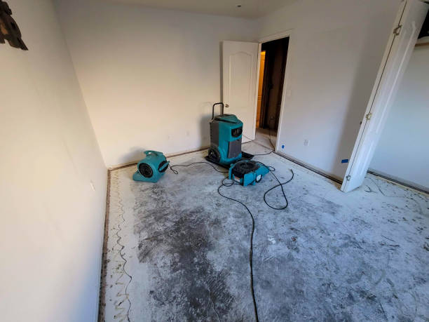 Best Fire Damage Restoration  in Bethel, OH
