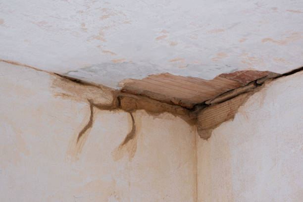 Best Local water damage restoration  in Bethel, OH