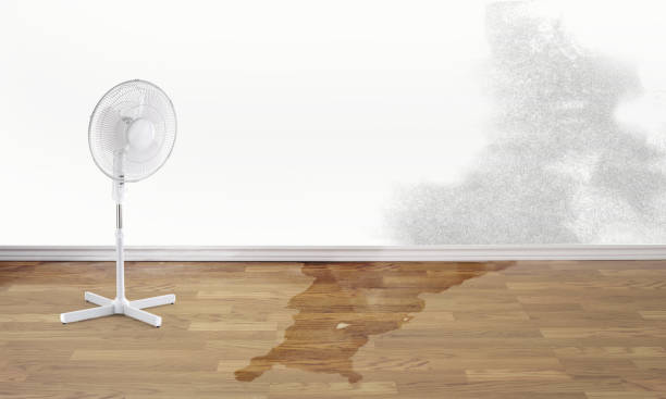 Best 24-hour water damage restoration  in Bethel, OH