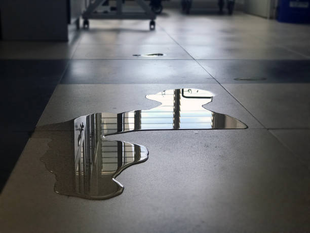 Best Water damage cleanup near me  in Bethel, OH