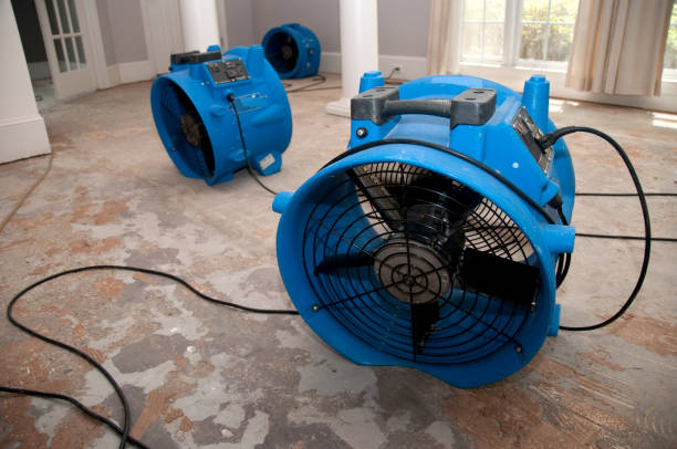 Best Water damage restoration near me  in Bethel, OH