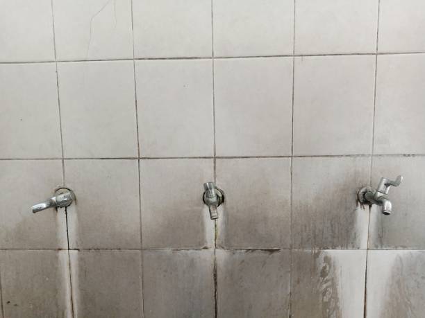 Best Mold removal after water damage  in Bethel, OH