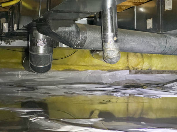Best Mold removal after water damage  in Bethel, OH