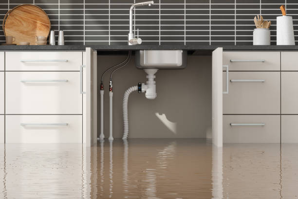 Best Flood damage cleanup  in Bethel, OH