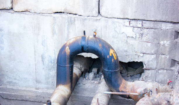 Best Water damage mitigation services  in Bethel, OH