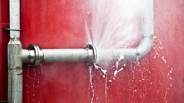 Best Carpet water damage restoration  in Bethel, OH