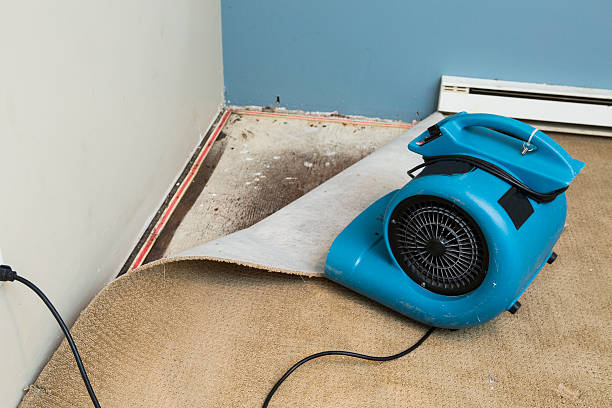  Bethel, OH Water damage restoration Pros